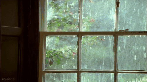 640 (4).gif