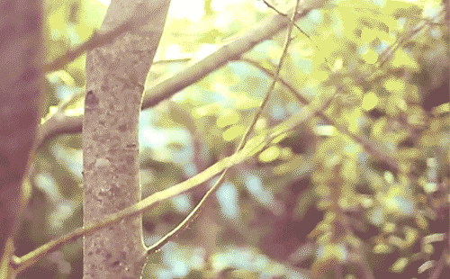 640.gif