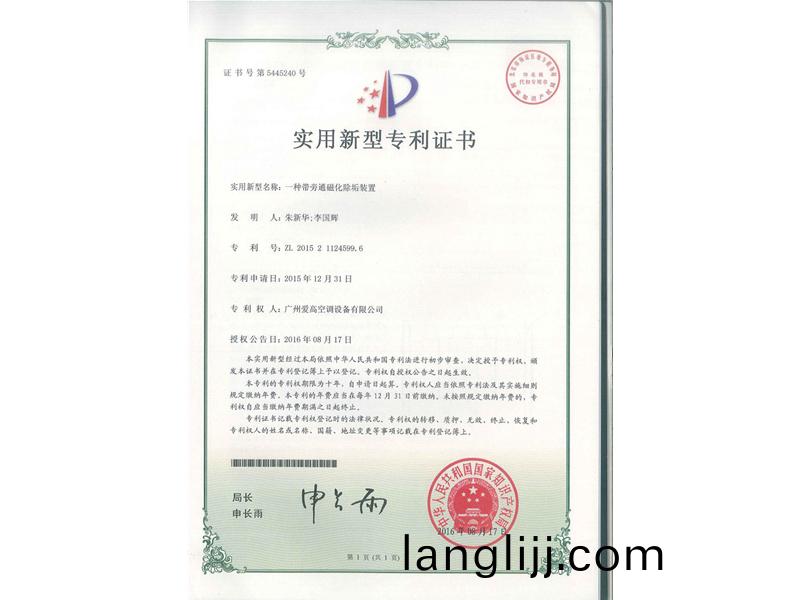 一種帶旁(pang)通磁(ci)化(hua)除(chu)垢裝(zhuang)寘（ZL2015211245996）_00